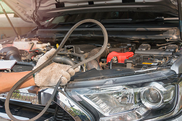 5 Components You Are Surely Forgetting During Your Vehicle Maintenance Visits