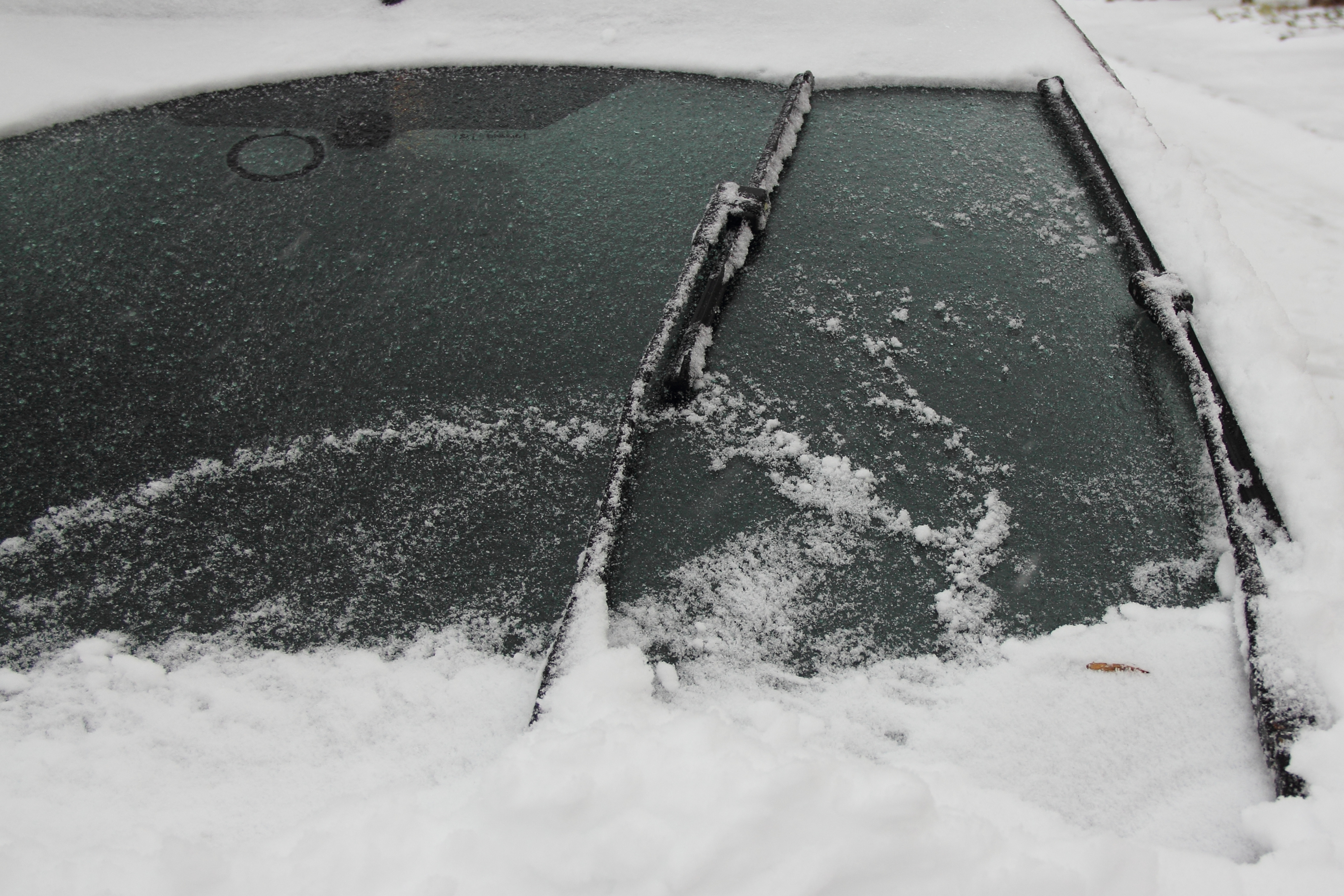 Why Windshield Wipers Should Be a Priority for Denver Drivers